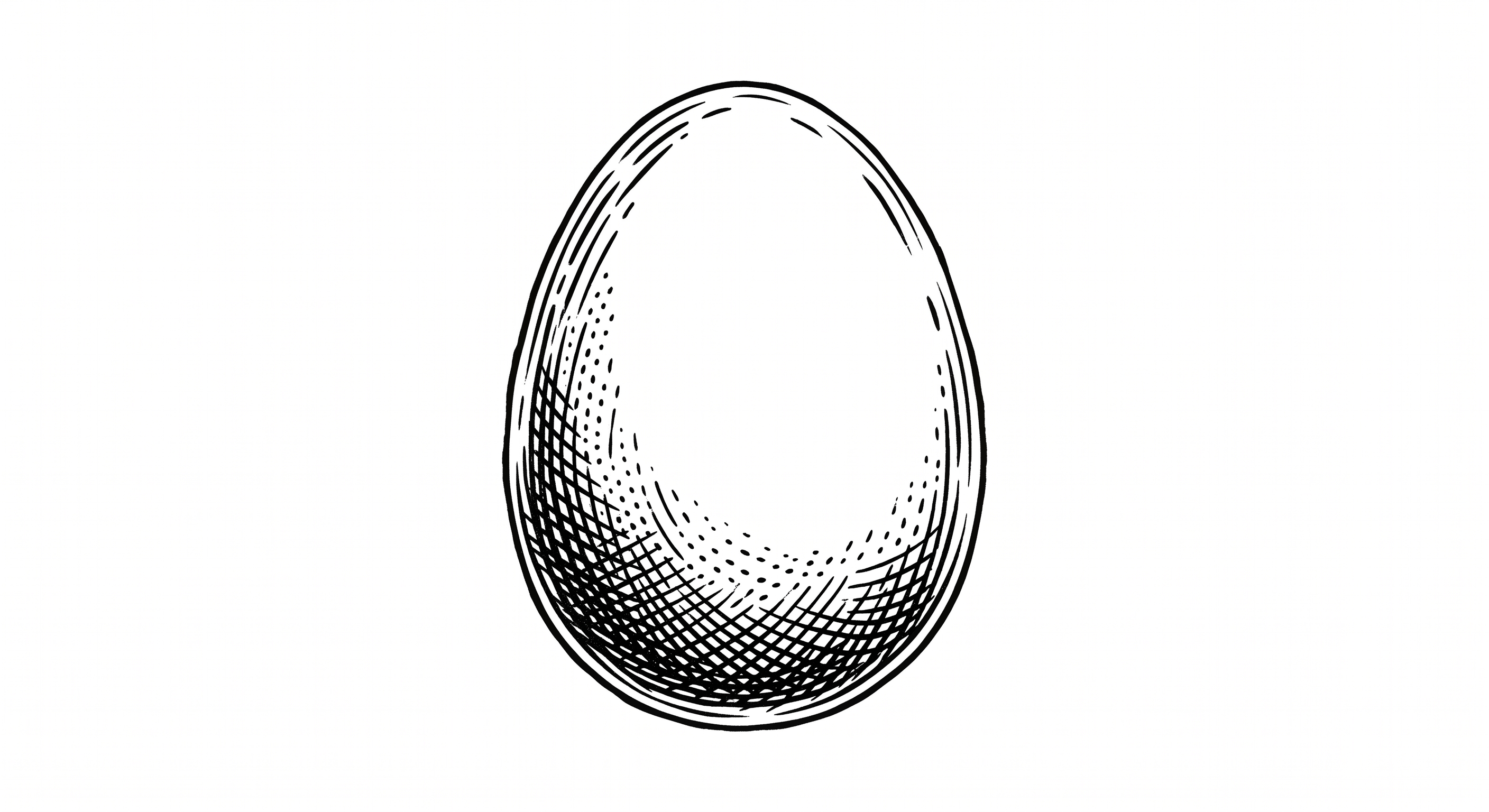 Egg illustration